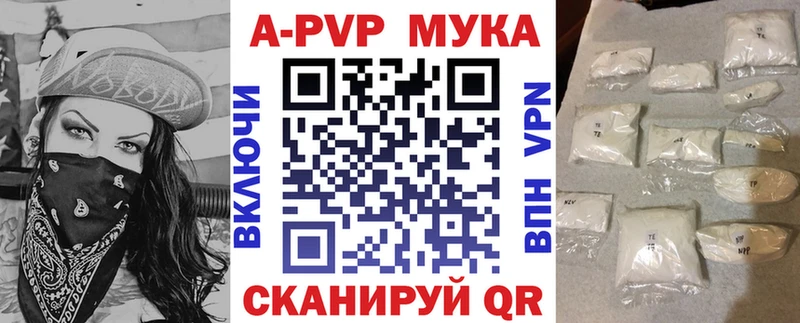 Альфа ПВП СК Закаменск