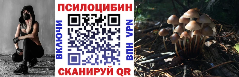 Галлюциногенные грибы MAGIC MUSHROOMS  купить наркоту  Закаменск 